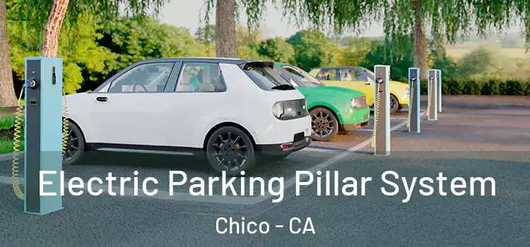  Electric Parking Pillar System Chico - CA