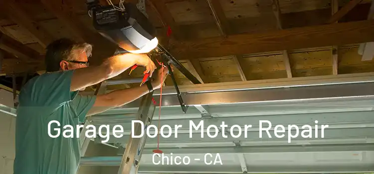  Garage Door Motor Repair Chico - CA