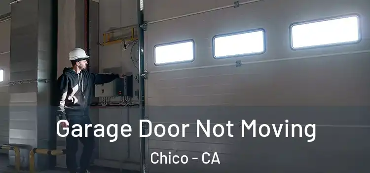  Garage Door Not Moving Chico - CA