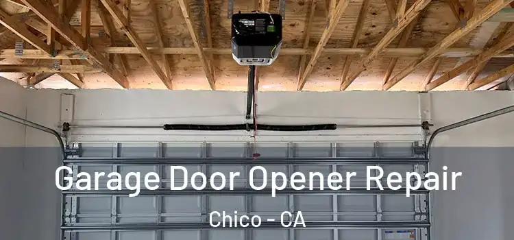  Garage Door Opener Repair Chico - CA