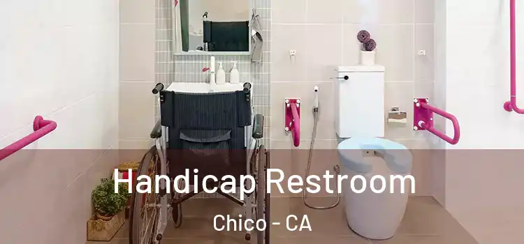 Handicap Restroom Chico - CA