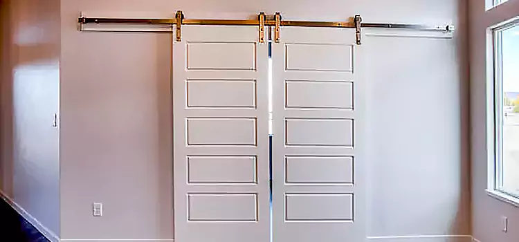 Glass Barn Door with Installation Hardware Kit Chico
