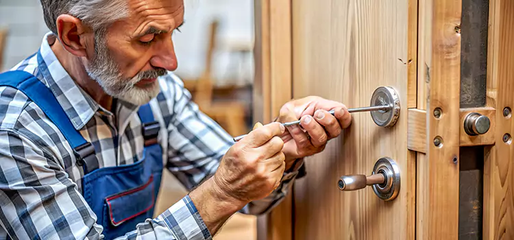 Mortise Replacement Lock Chico